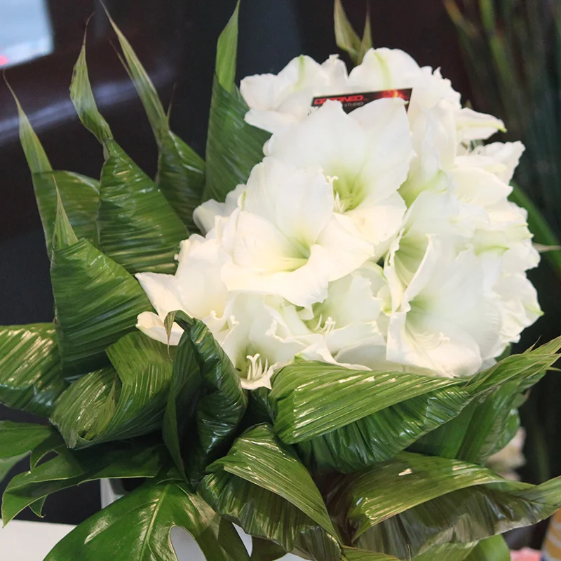 Composition item# av21fws10018